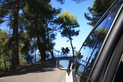 Road amidst trees against sky seen through car windshield