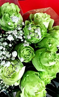 Close-up of flowers