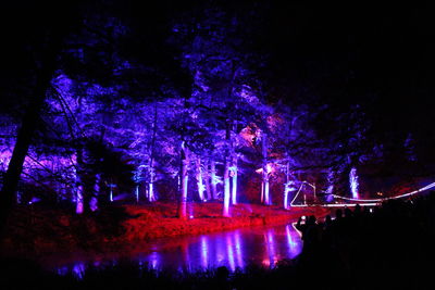 Illuminated trees against sky at night