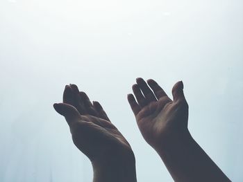 A woman's hands on a white background