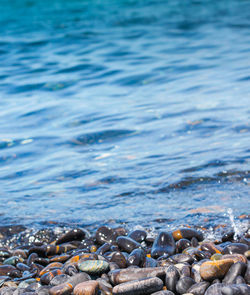 Close-up of stones on beach