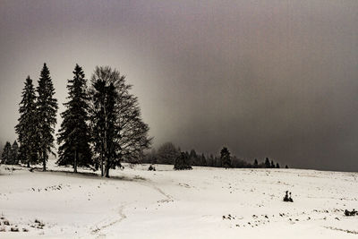 Trees on snow covered field against sky