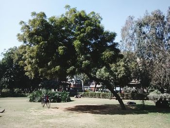 Footpath in park