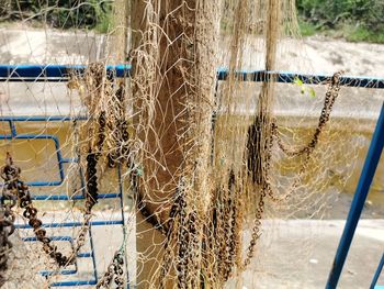 Close-up of fishing net on field