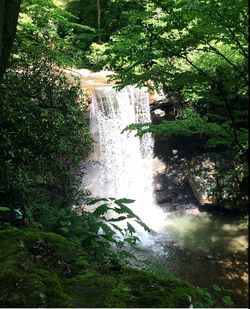 Scenic view of waterfall