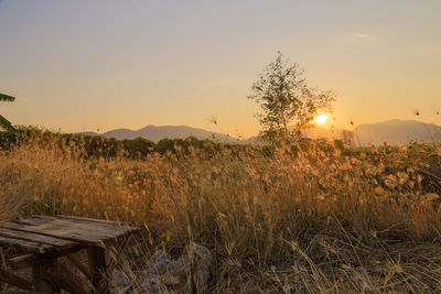 Scenic view of landscape against sky during sunset