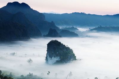 High angle view of trees and mountains in foggy weather
