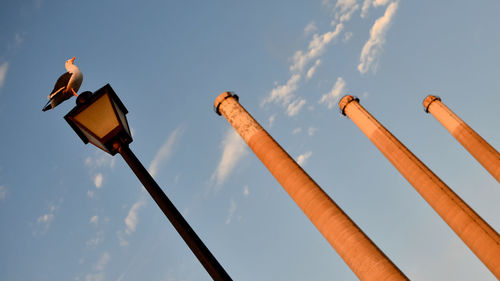 Low angle view of birds perching on pole against sky