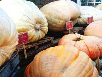 Pumpkins for sale at market stall