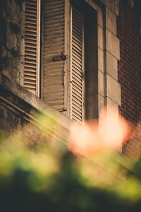 Close-up of abandoned building