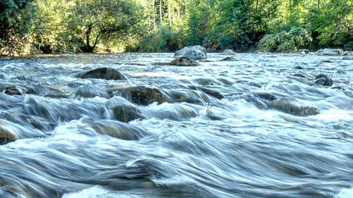 Scenic view of waterfall in forest