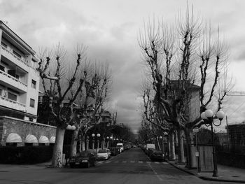 Bare trees by road against sky in city