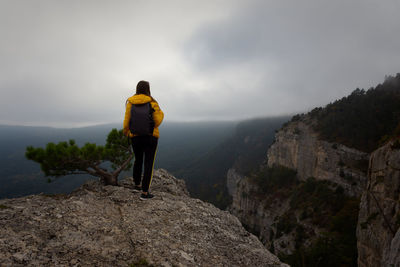 Rear view of man standing on mountain