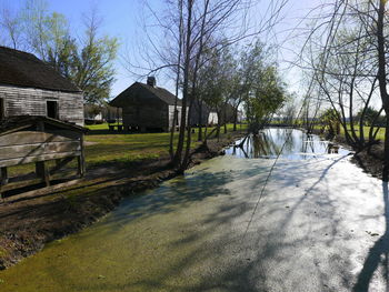 Houses by trees against sky