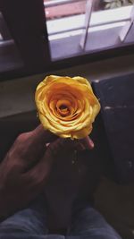 Close-up of hand holding rose bouquet