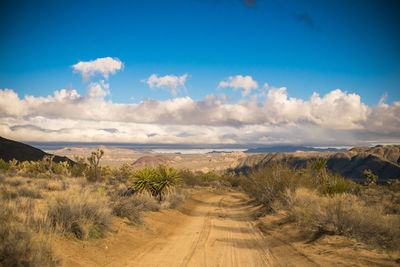 Road amidst field against blue sky