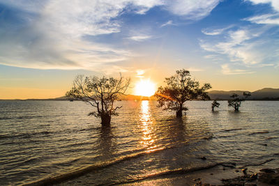 Scenic view of sea against sky during sunset