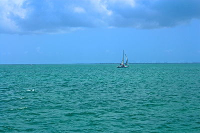 Sailboat sailing in sea against sky