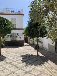 Street by trees and buildings against sky