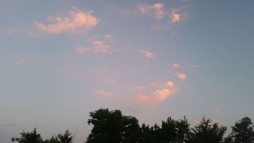 Low angle view of trees against sky during sunset