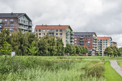 Plants growing on field by buildings against sky