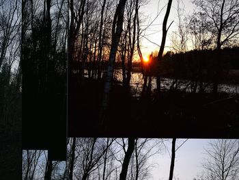 Silhouette trees by lake during sunset