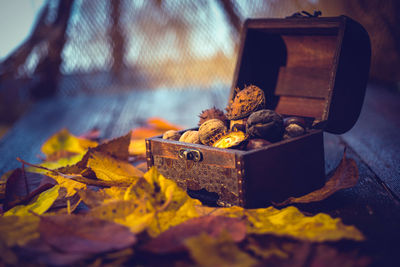 Close-up of autumn leaves with food on table