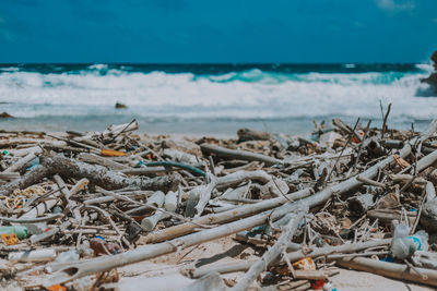 Close-up of driftwood on beach