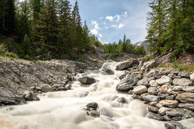 Stream flowing through rocks in forest