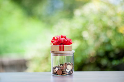 Close-up of red flower in jar on table