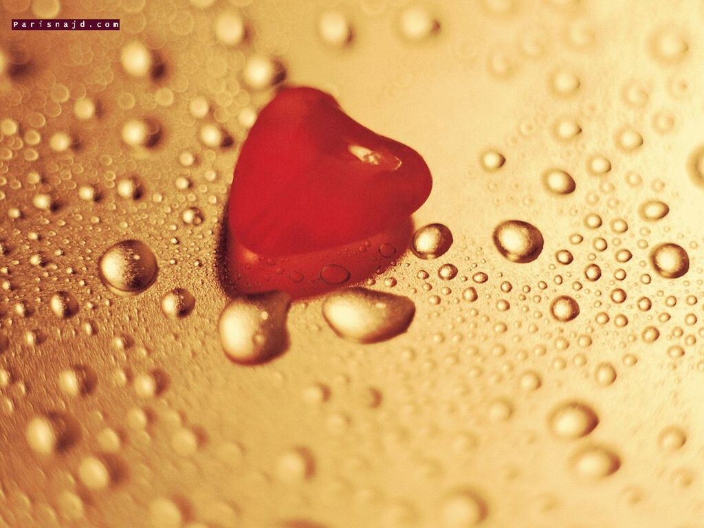 wet, drop, water, close-up, sand, red, beach, selective focus, surface level, textured, no people, focus on foreground, single object, day, outdoors, rain, asphalt, nature, raindrop, transparent