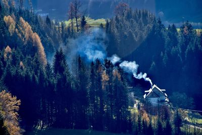 Panoramic view of trees and building with smoking roof