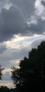 Low angle view of silhouette trees against sky