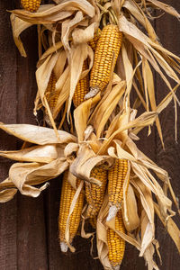 Close-up of corn