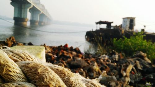 Close-up of rope at shore against sky