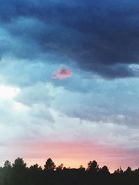 Low angle view of silhouette trees against sky during sunset