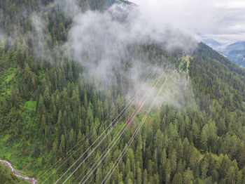 High angle view of trees growing on land