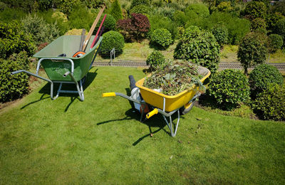 Chairs and plants in garden