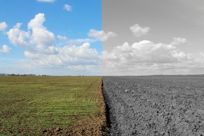 Scenic view of field against sky