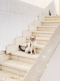 staircase