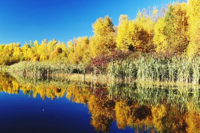 Scenic view of lake against sky during autumn