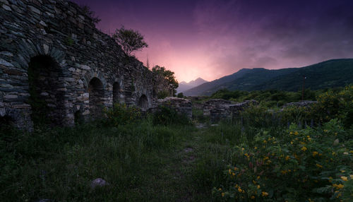 Plants by old building against sky during sunset