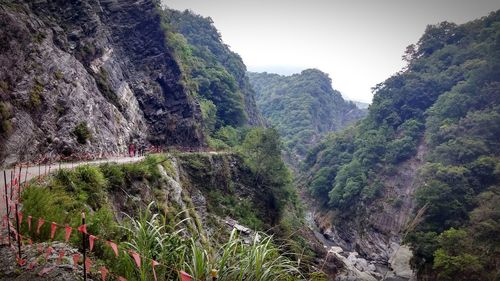 Scenic view of river in forest against clear sky