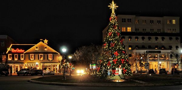 Illuminated christmas tree in city at night