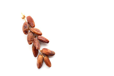 Close-up of bread against white background