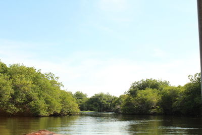 Scenic view of lake and trees against sky