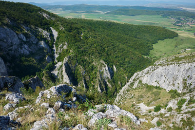 environment