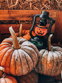 High angle view of pumpkins on wood during autumn