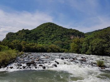 Scenic view of river amidst trees against sky