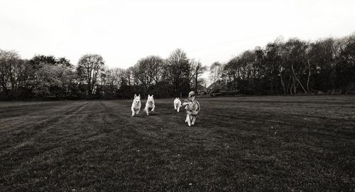 Children playing on field against sky